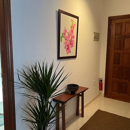 Cozy Apartment Санта Крус де Тенерифе Екстериор снимка