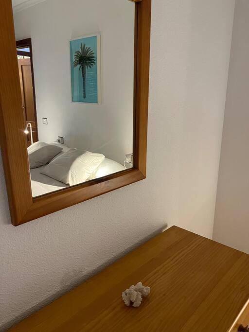 Cozy Apartment Санта Крус де Тенерифе Екстериор снимка