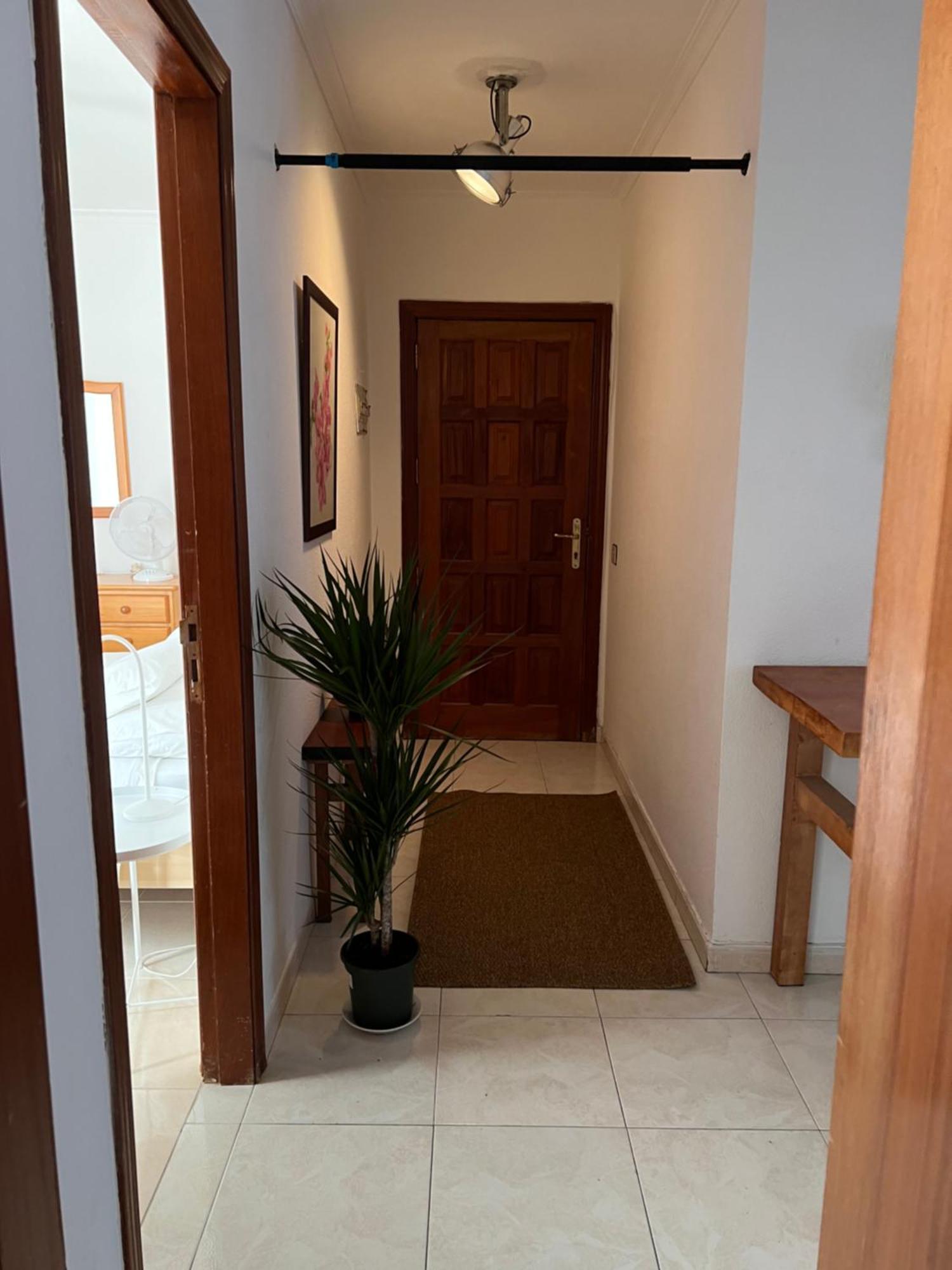 Cozy Apartment Санта Крус де Тенерифе Екстериор снимка
